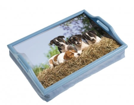 Puppies Lap Tray With Cushion